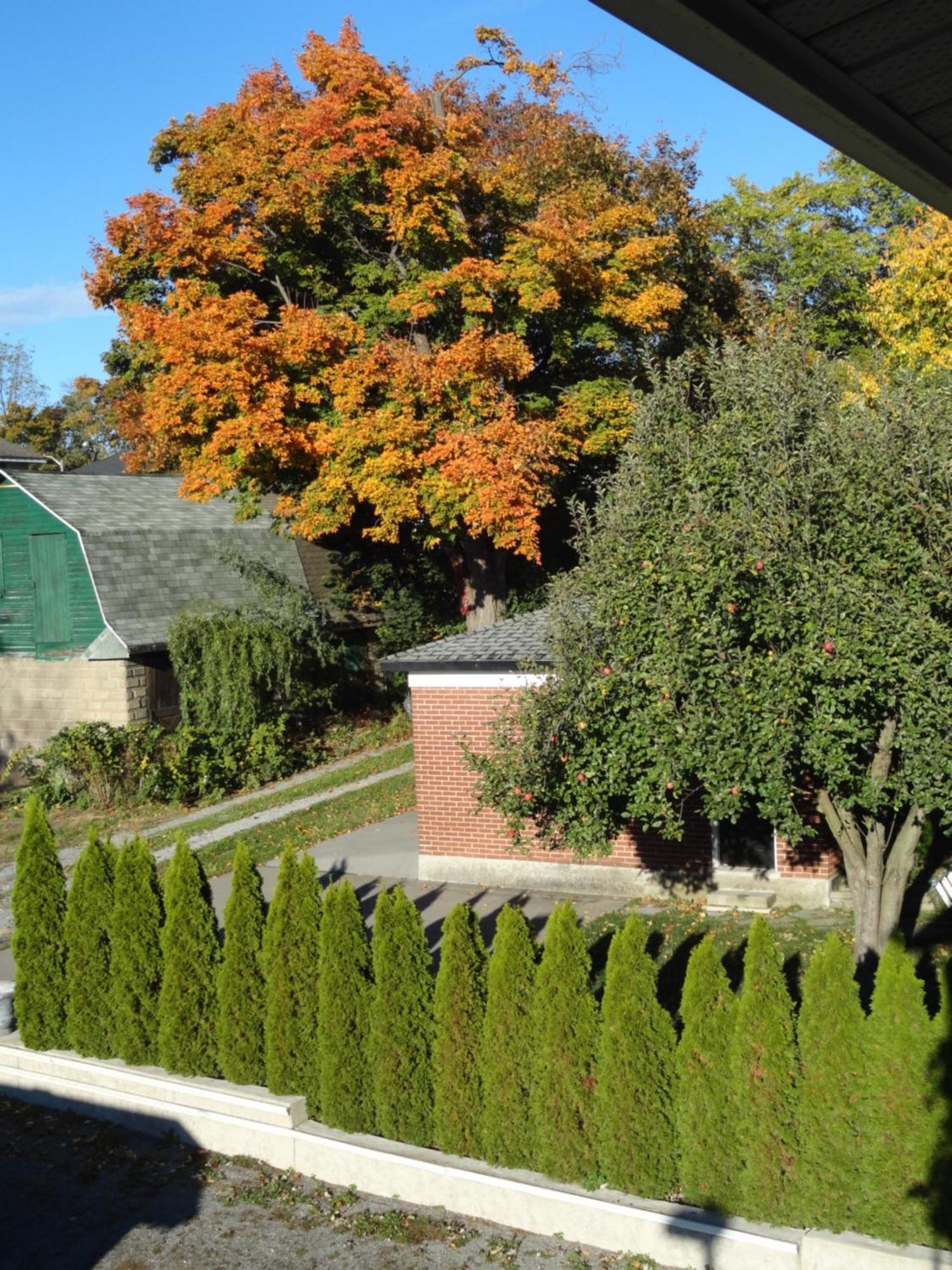 Rainbow Bed & Breakfast Niagara Falls Zewnętrze zdjęcie